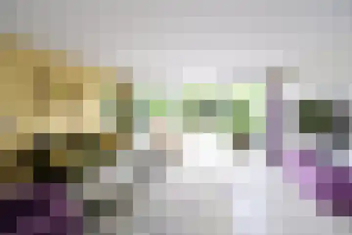 de Lelie 6 Muiden thumbnail 5