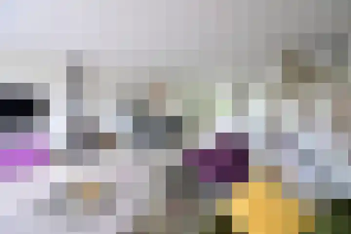 de Lelie 6 Muiden thumbnail 7