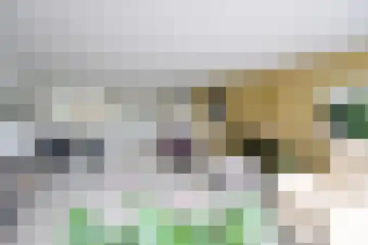 de Lelie 6 Muiden thumbnail 8