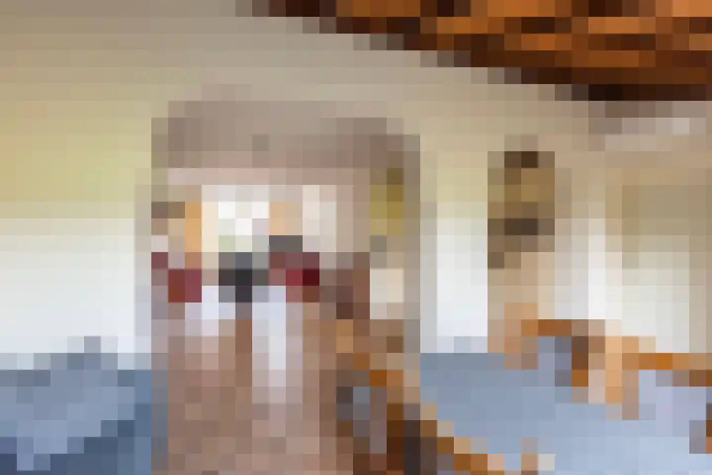 de Lemp 11 Megchelen thumbnail 16