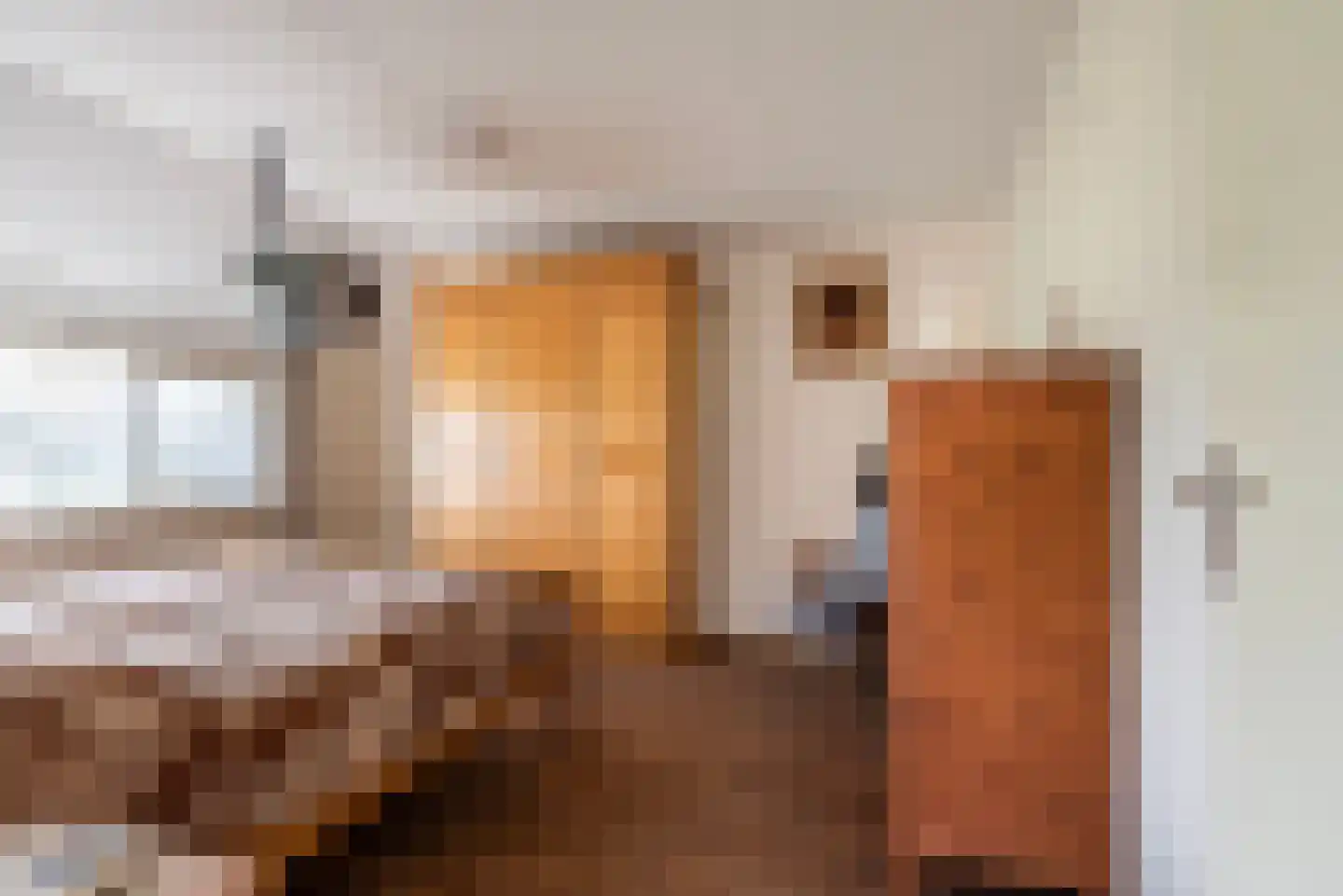 de Lemp 11 Megchelen thumbnail 26