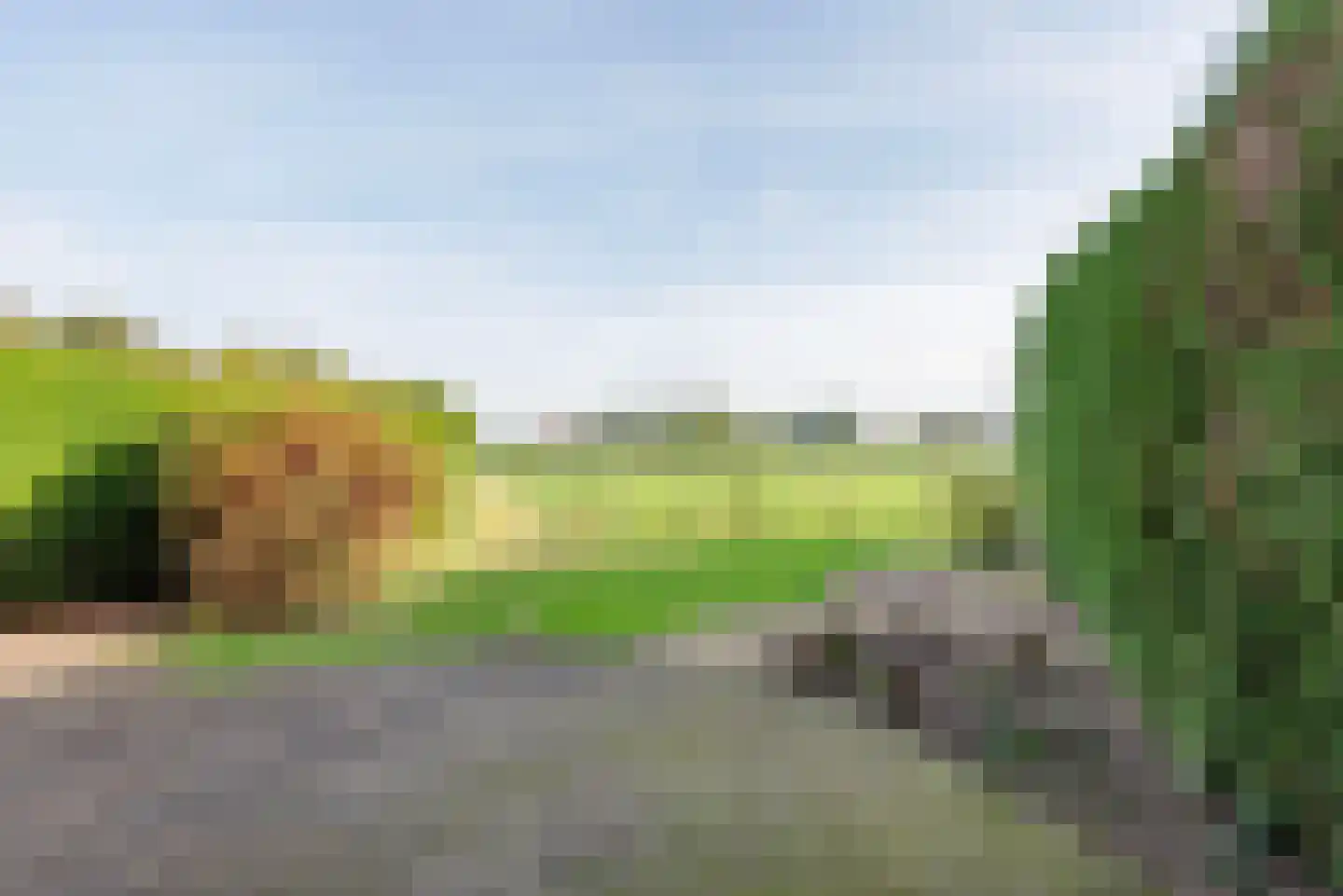 de Lemp 11 Megchelen thumbnail 41