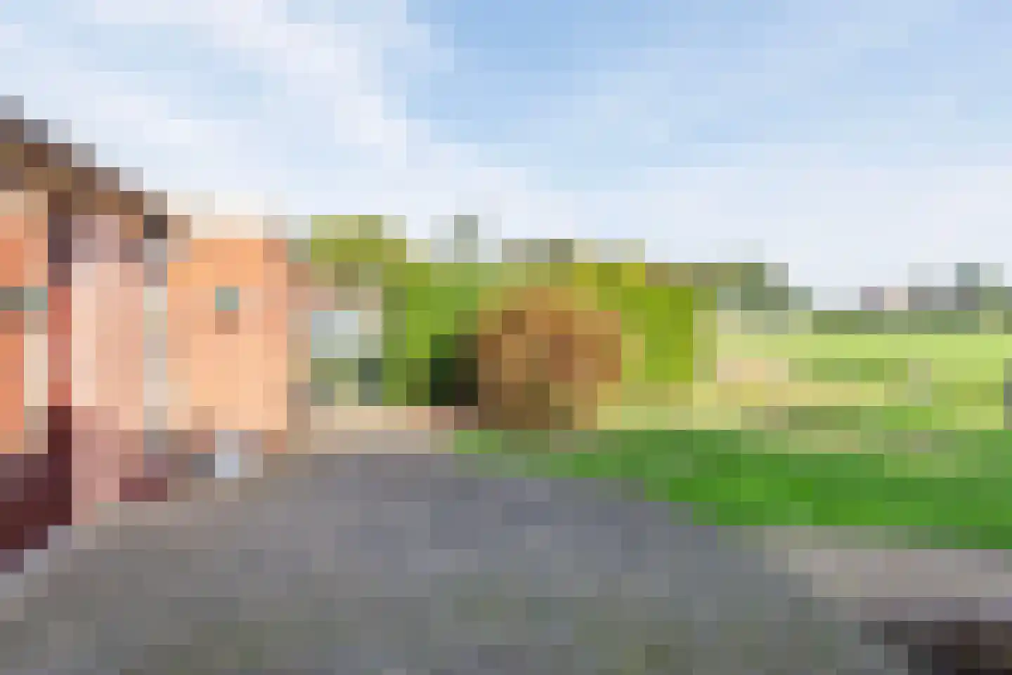 de Lemp 11 Megchelen thumbnail 44