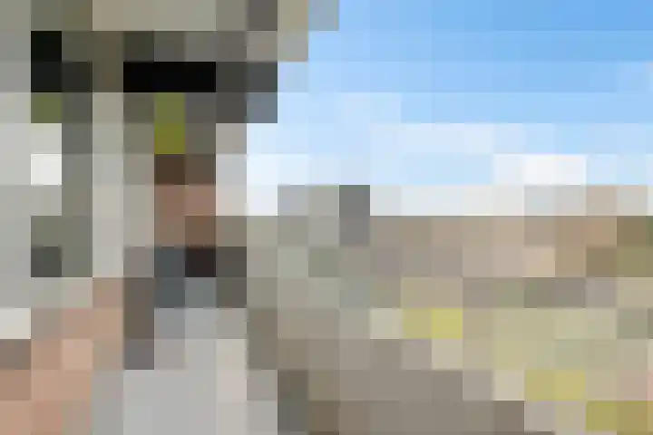 De Lemzijde 18 Emmen thumbnail 14