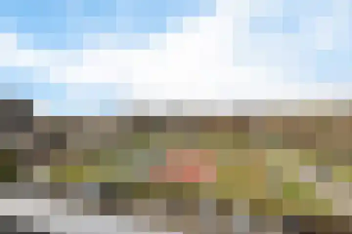 De Lemzijde 18 Emmen thumbnail 15
