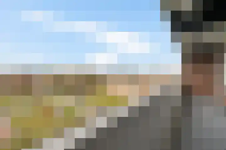 De Lemzijde 18 Emmen thumbnail 16
