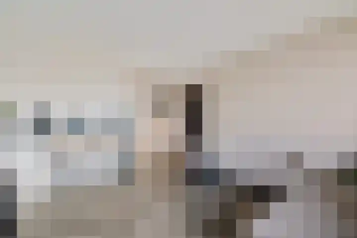 De Lemzijde 18 Emmen thumbnail 17