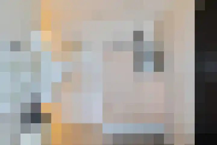 De Lemzijde 18 Emmen thumbnail 19