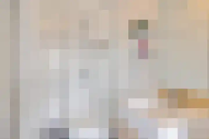 De Lemzijde 18 Emmen thumbnail 23