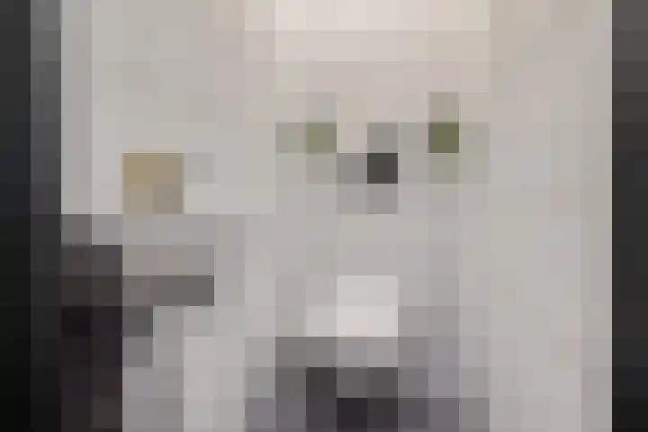 De Lemzijde 18 Emmen thumbnail 25