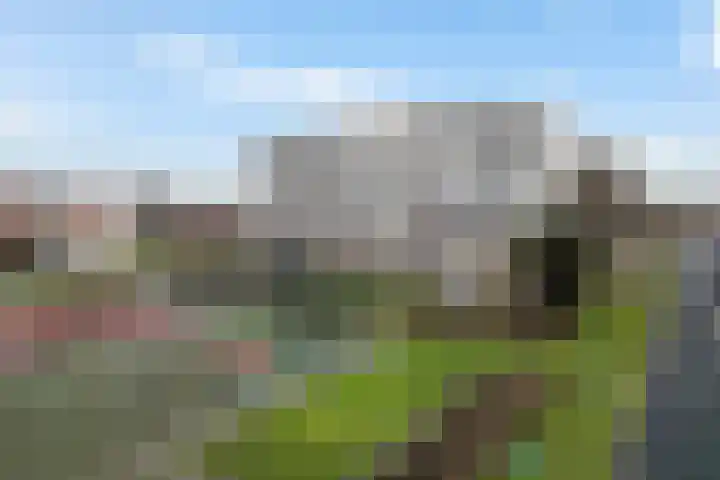 De Lemzijde 18 Emmen thumbnail 27