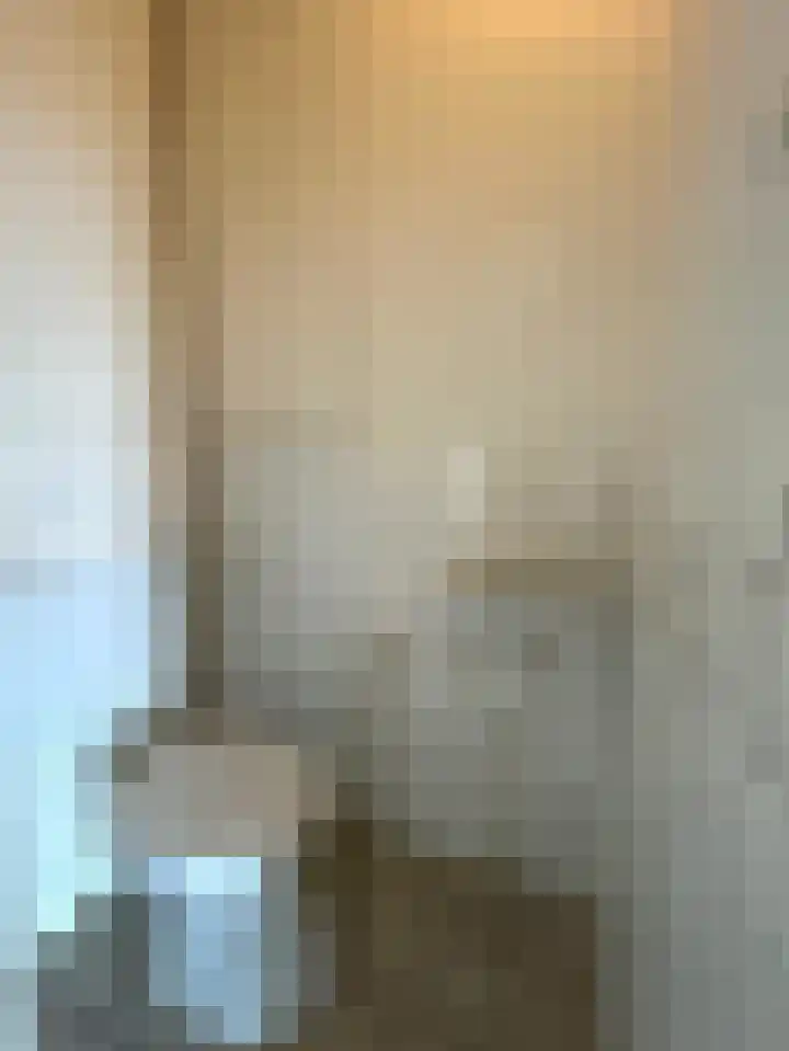 De Lemzijde 22 Emmen thumbnail 17