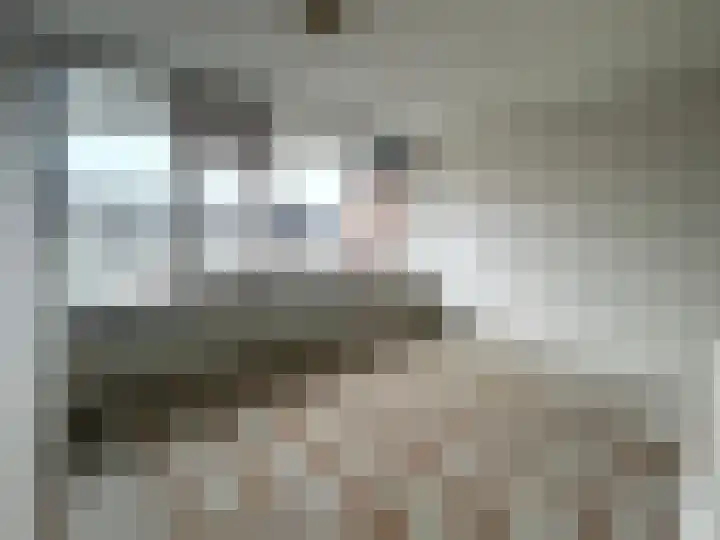 De Lemzijde 22 Emmen thumbnail 18