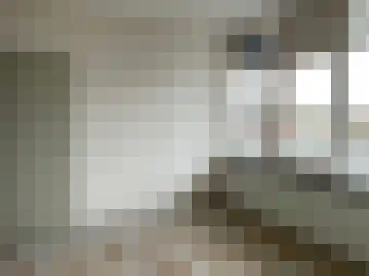 De Lemzijde 22 Emmen thumbnail 20