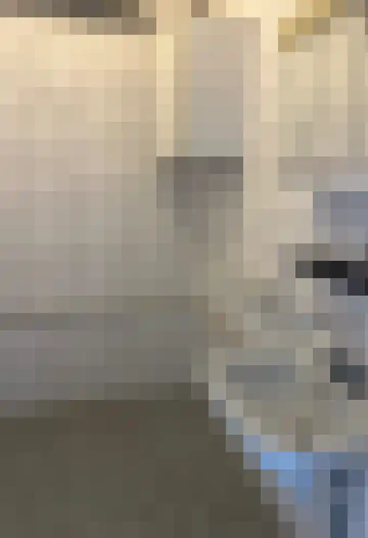 De Lemzijde 22 Emmen thumbnail 23