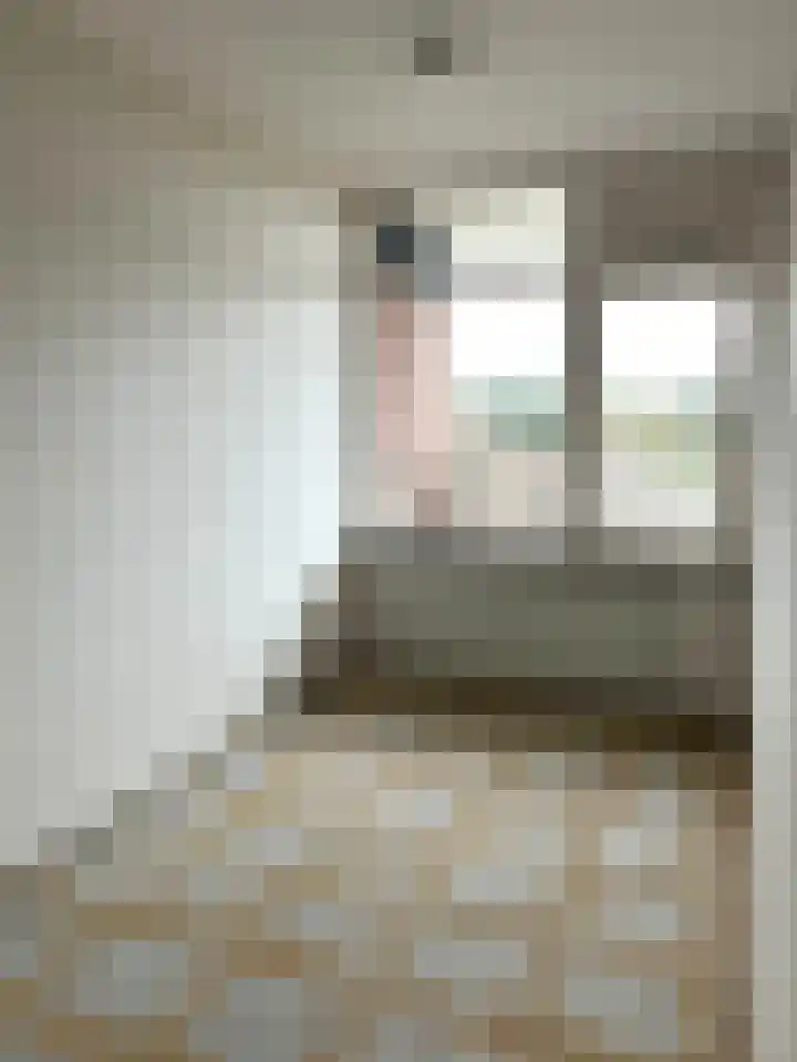 De Lemzijde 22 Emmen thumbnail 24