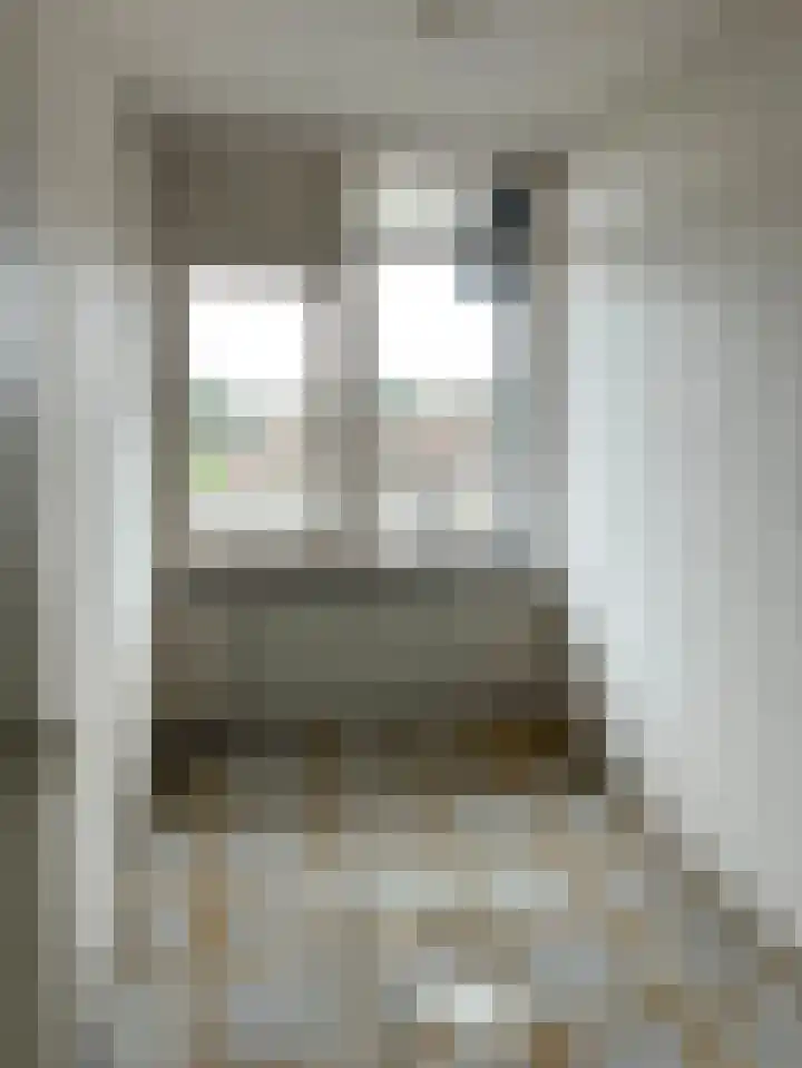 De Lemzijde 22 Emmen thumbnail 25