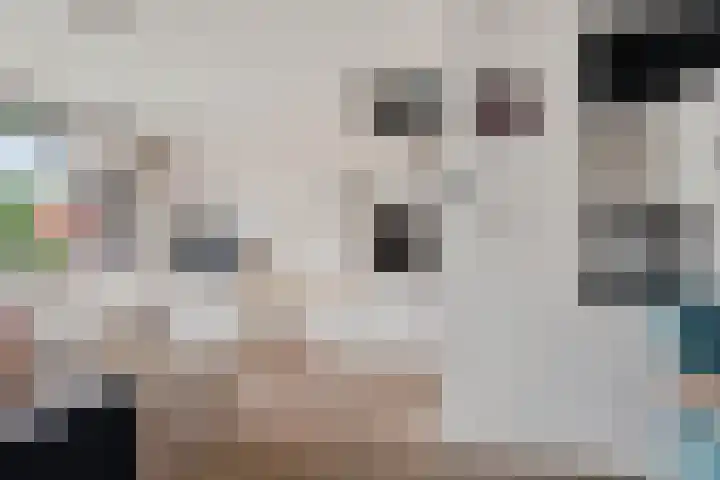 De Lemzijde 27 Emmen thumbnail 11