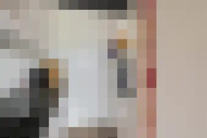 De Lemzijde 27 Emmen thumbnail 13