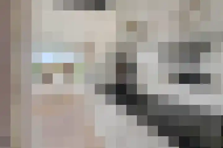 De Lemzijde 27 Emmen thumbnail 14