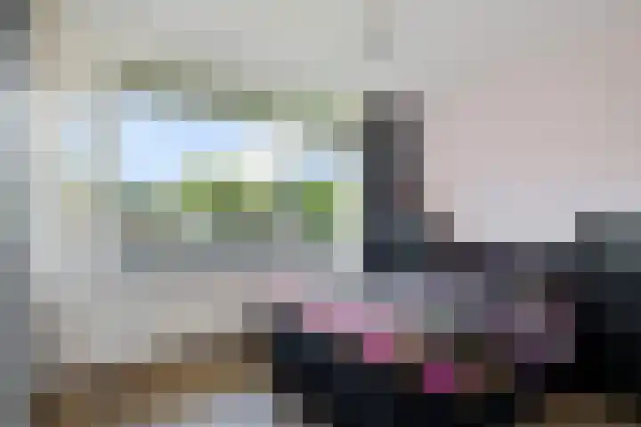 De Lemzijde 27 Emmen thumbnail 23