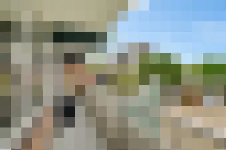 De Lemzijde 27 Emmen thumbnail 27