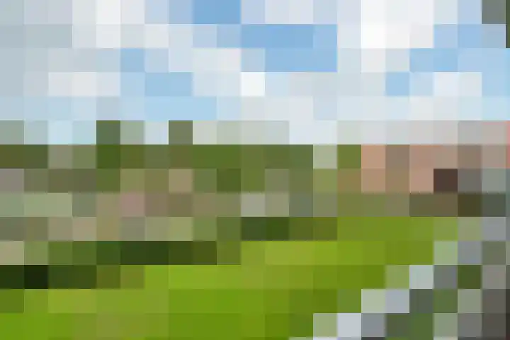 De Lemzijde 27 Emmen thumbnail 29
