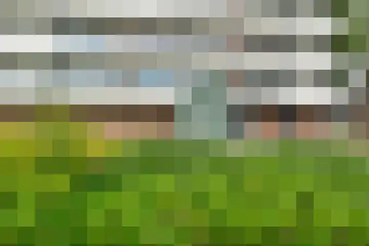De Lemzijde 27 Emmen thumbnail 34