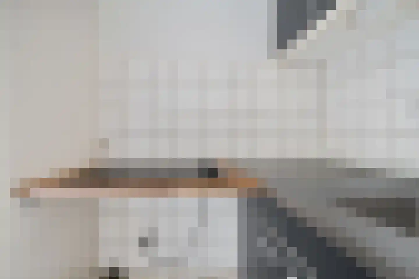 De Lemzijde 36 Emmen thumbnail 22