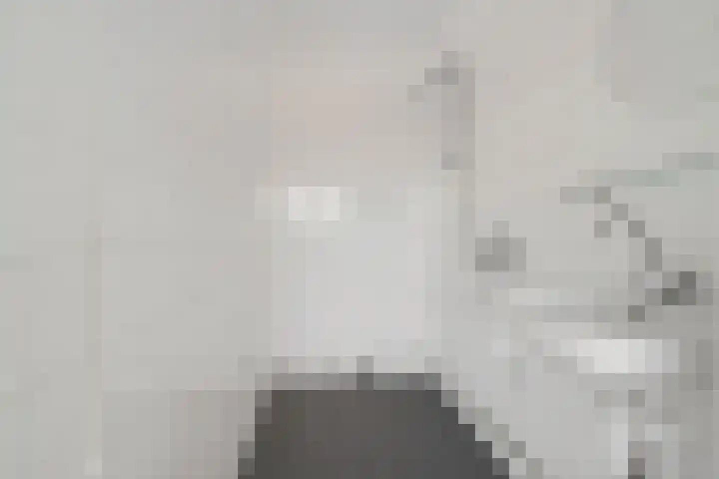 De Lemzijde 36 Emmen thumbnail 32