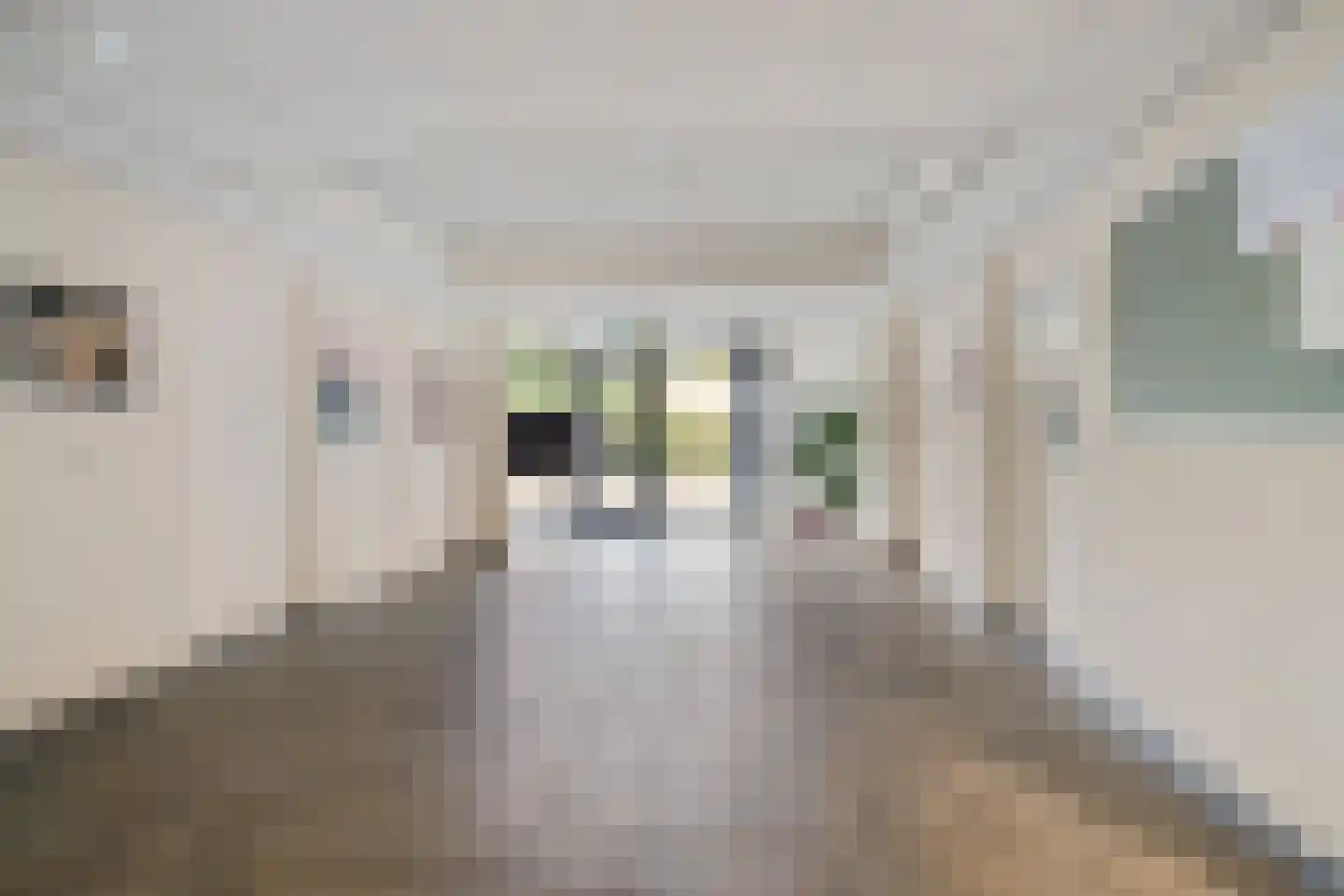 De Lemzijde 36 Emmen thumbnail 5