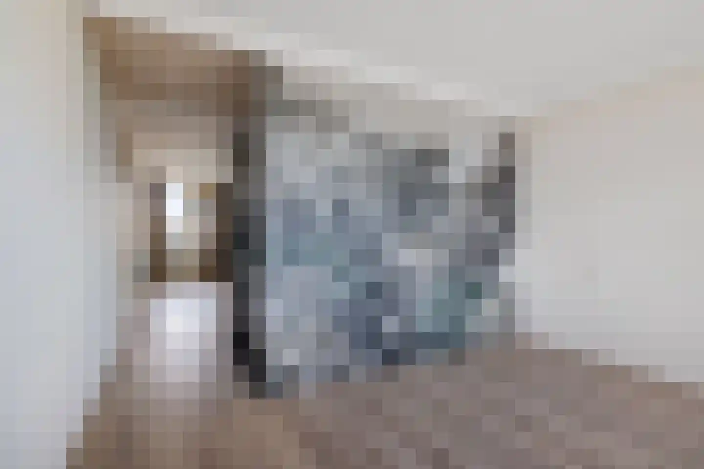 De Lemzijde 40 Emmen thumbnail 16
