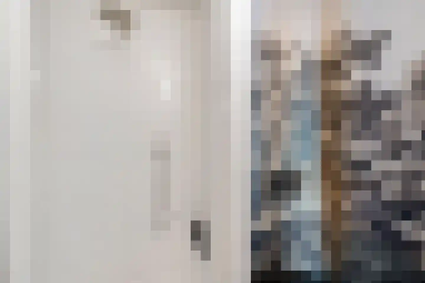 De Lemzijde 40 Emmen thumbnail 20