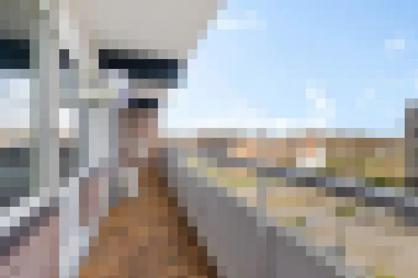 De Lemzijde 40 Emmen thumbnail 26