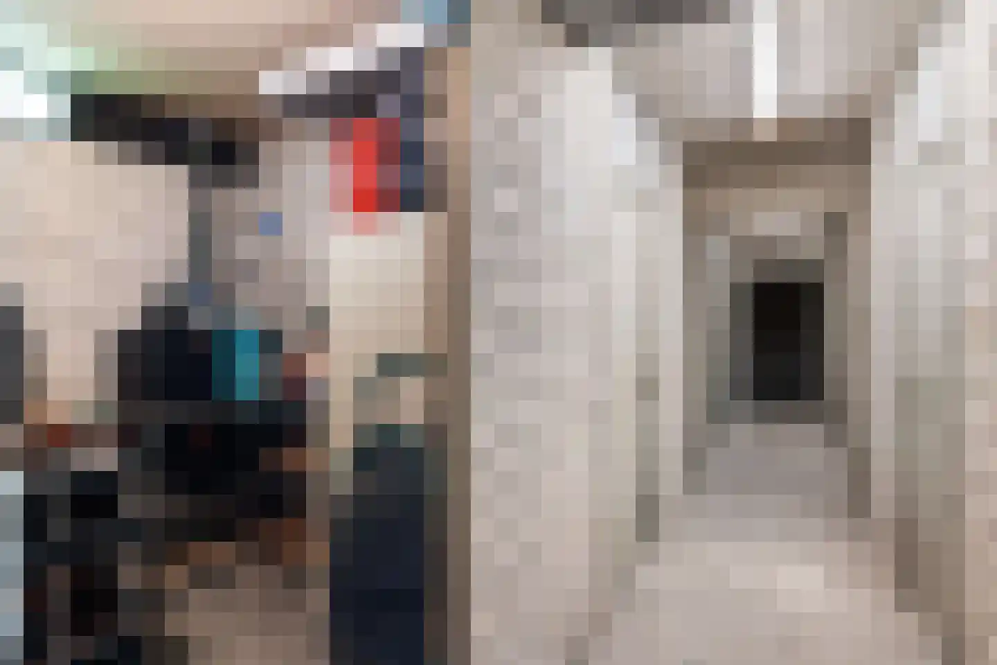 De Lemzijde 40 Emmen thumbnail 30