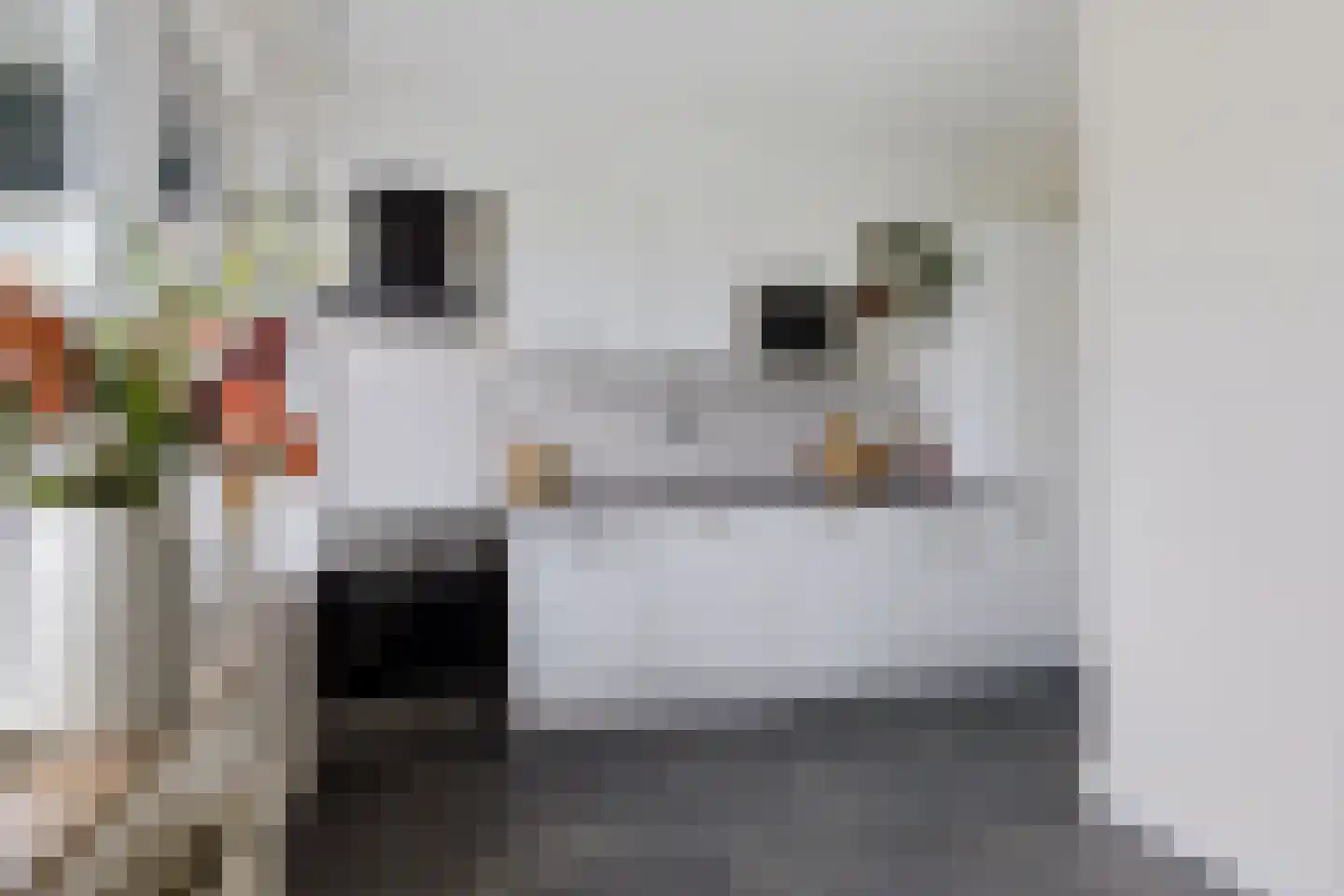 De Lemzijde 41 Emmen thumbnail 16