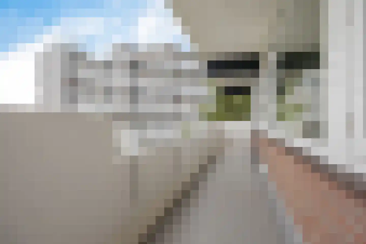 De Lemzijde 41 Emmen thumbnail 30
