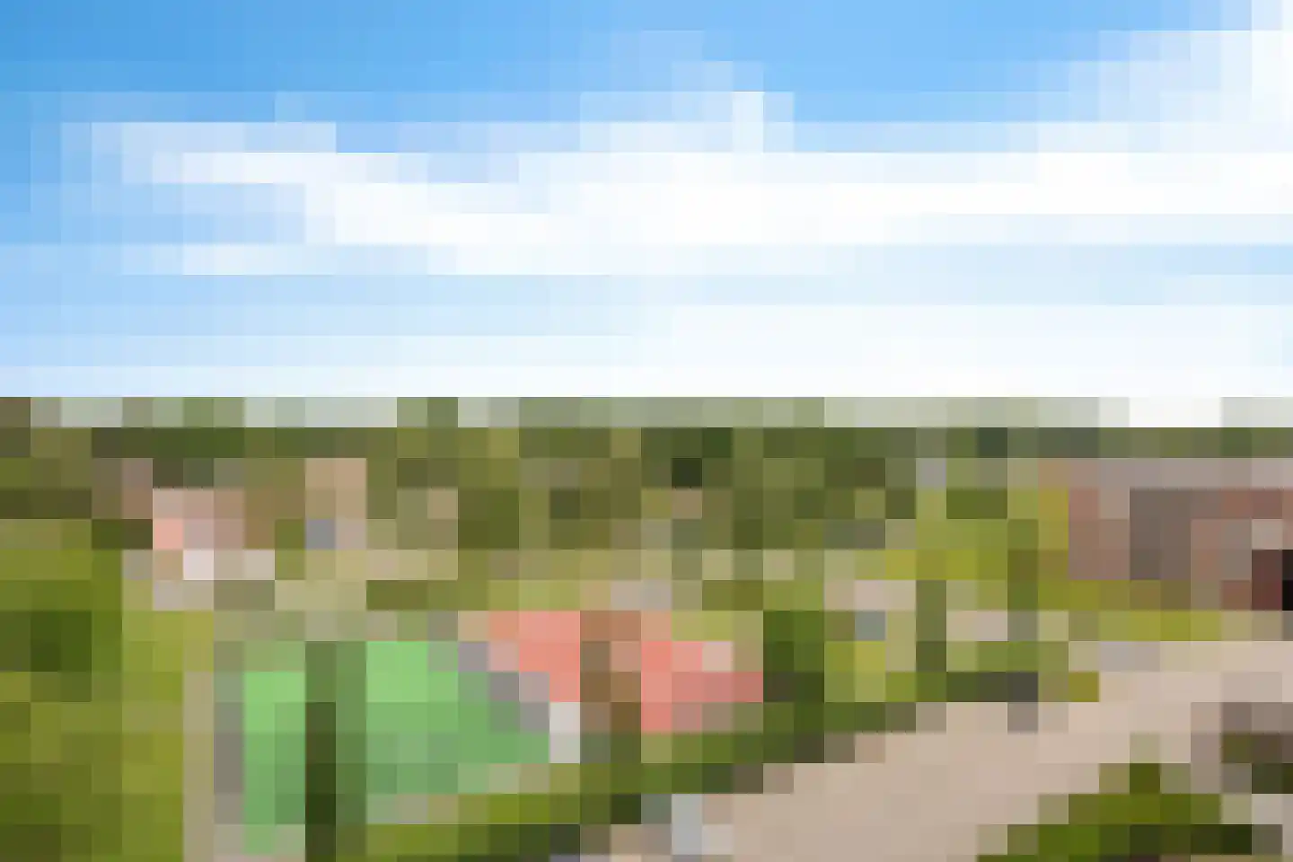 De Lemzijde 41 Emmen thumbnail 5