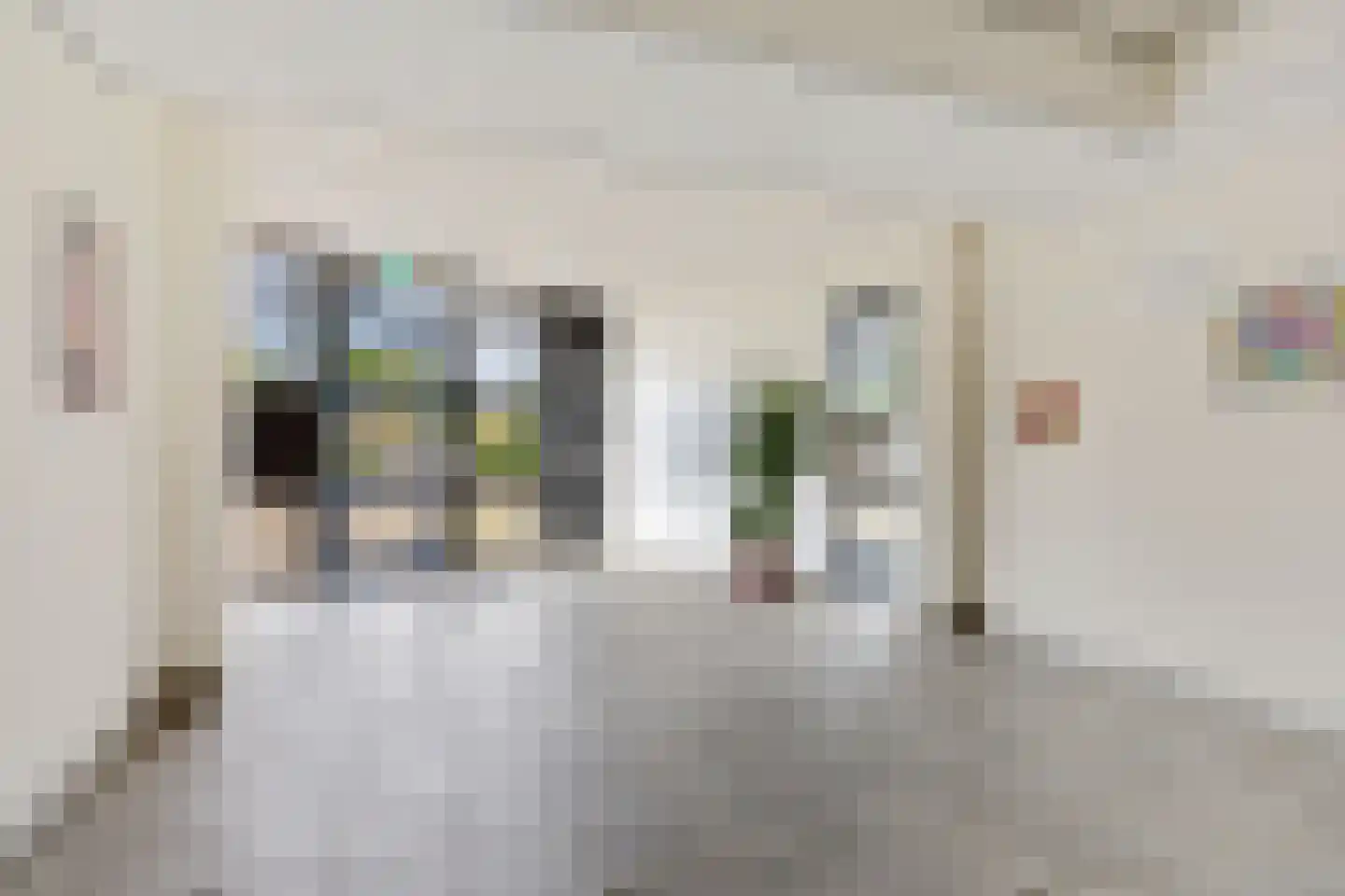 De Lemzijde 41 Emmen thumbnail 7