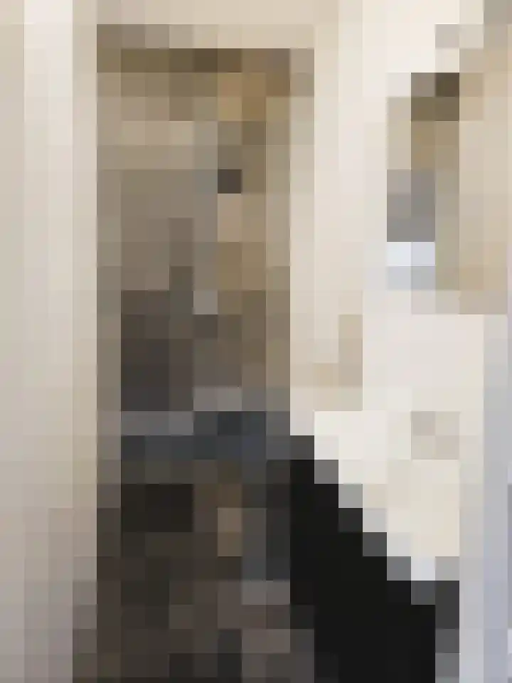 De Lemzijde 6 Emmen thumbnail 9