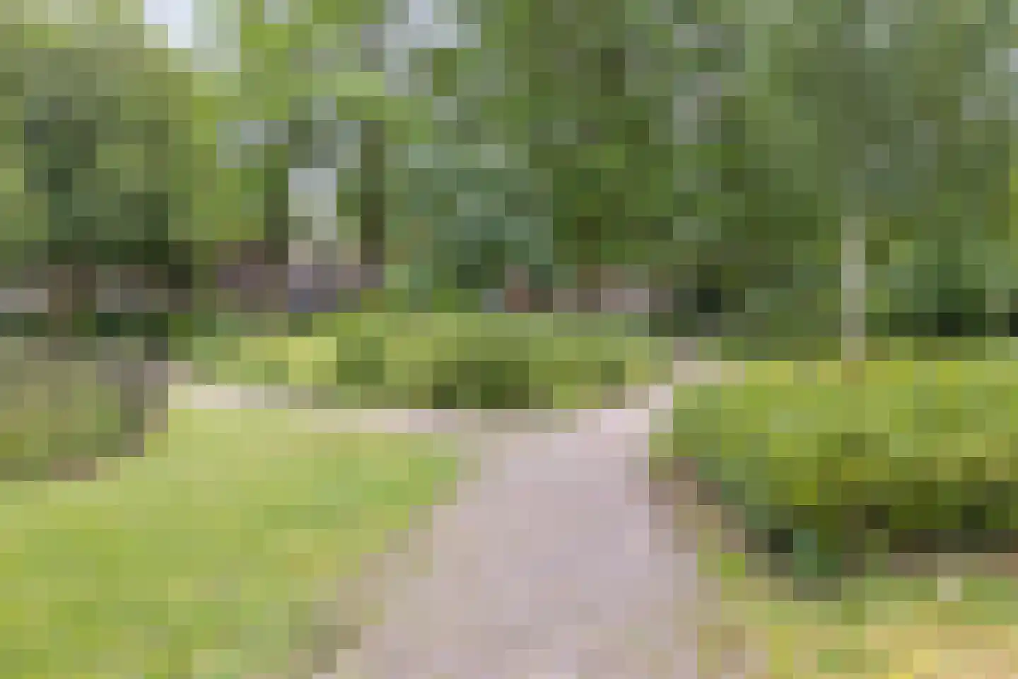 de Lend 25 Reusel thumbnail 41