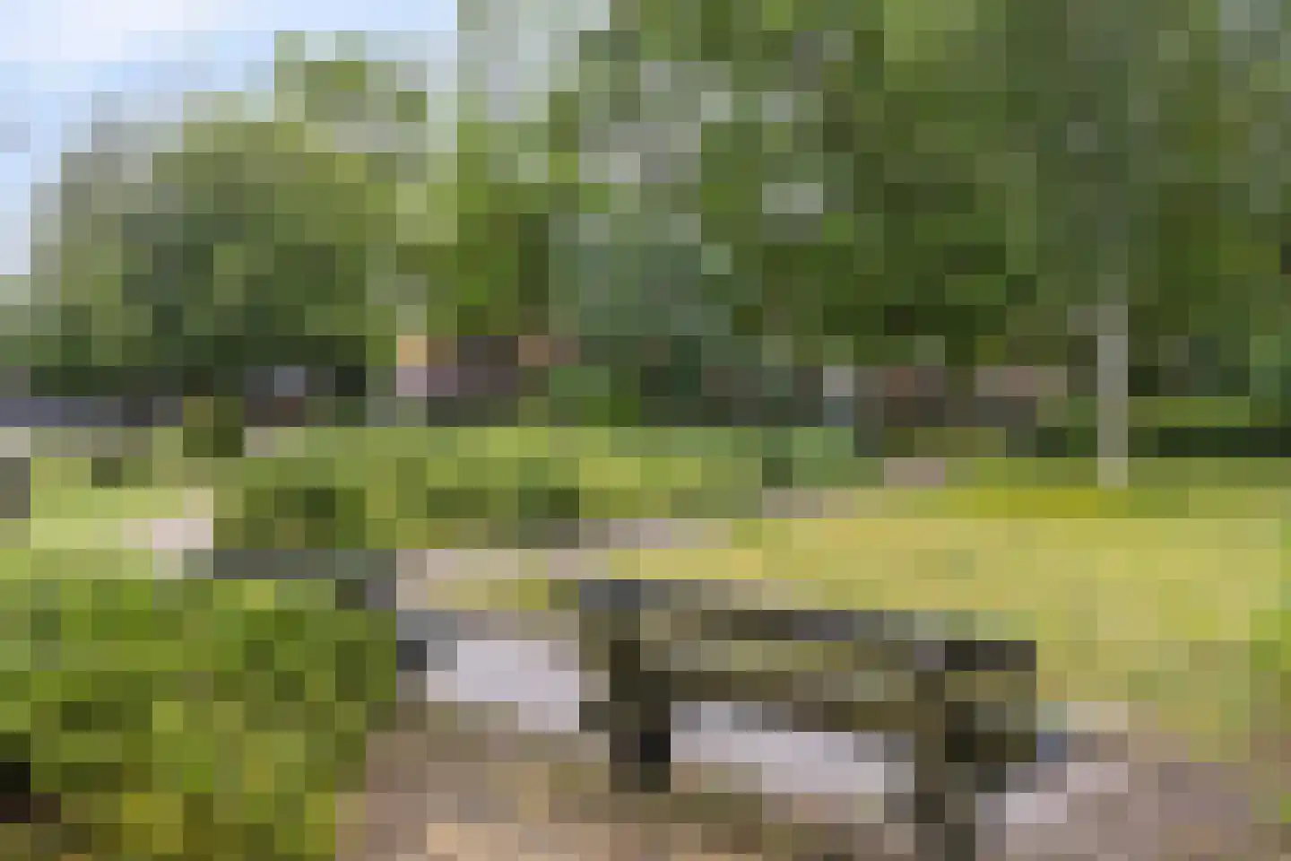 de Lend 25 Reusel thumbnail 42