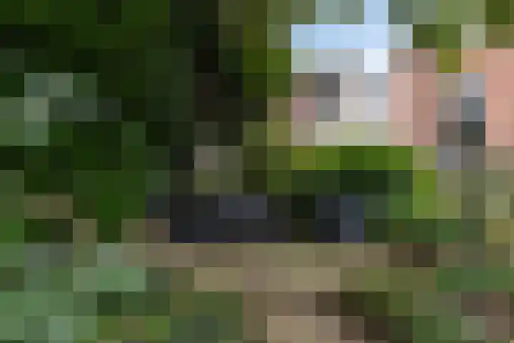 De Lender 19 Doetinchem thumbnail 4