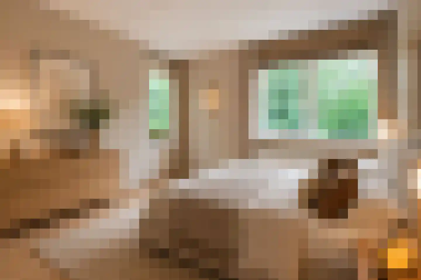 De Lent 1 Muiderberg thumbnail 13