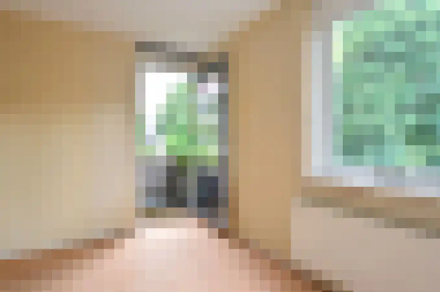De Lent 1 Muiderberg thumbnail 14