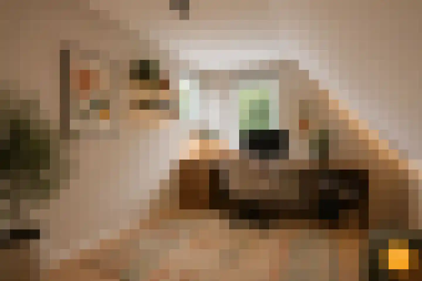 De Lent 1 Muiderberg thumbnail 24