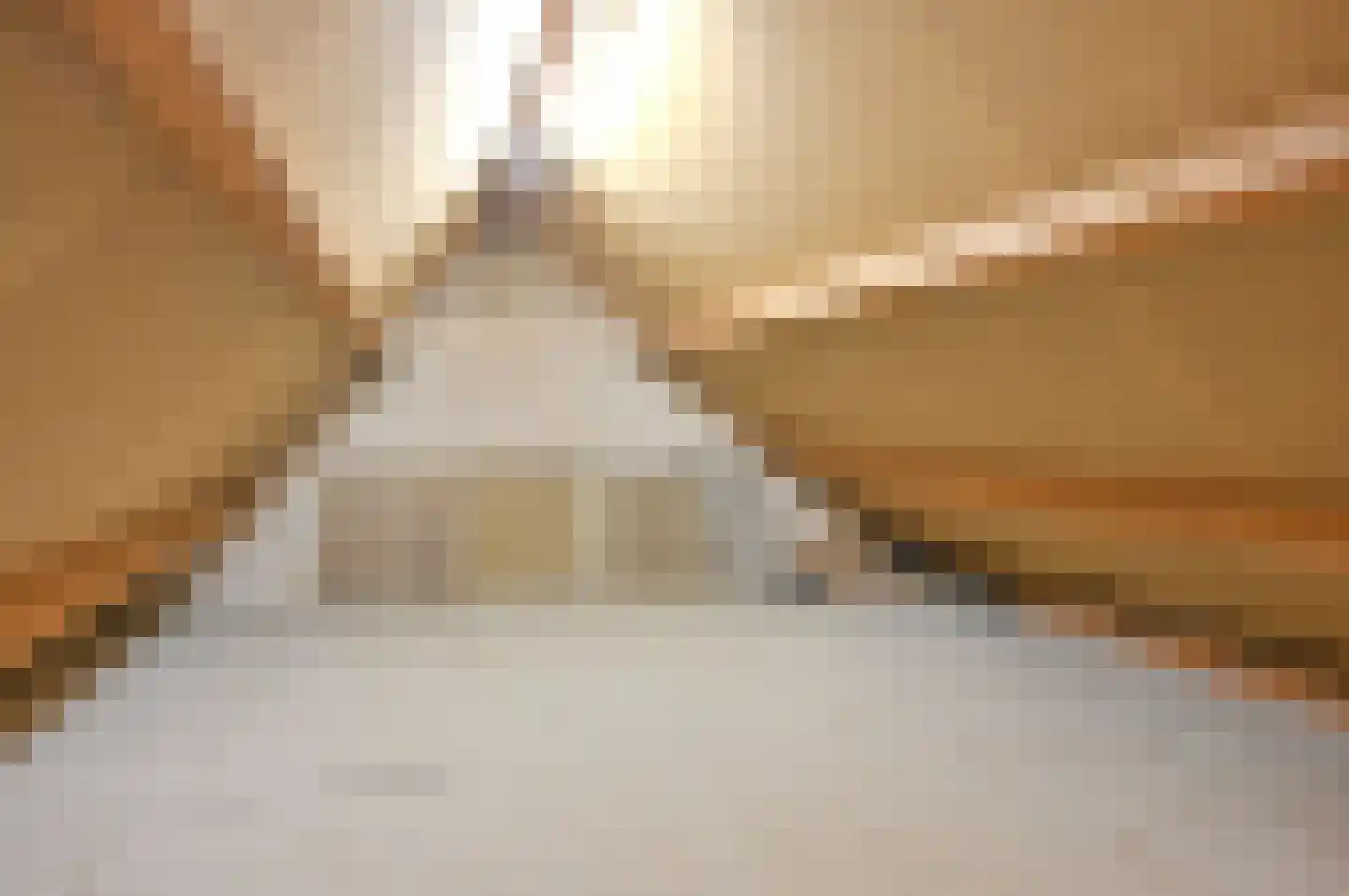 De Lent 1 Muiderberg thumbnail 25