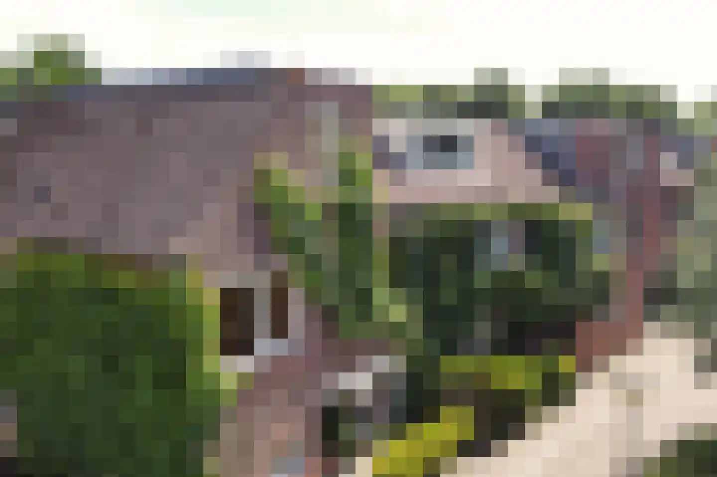 De Lent 1 Muiderberg thumbnail 28