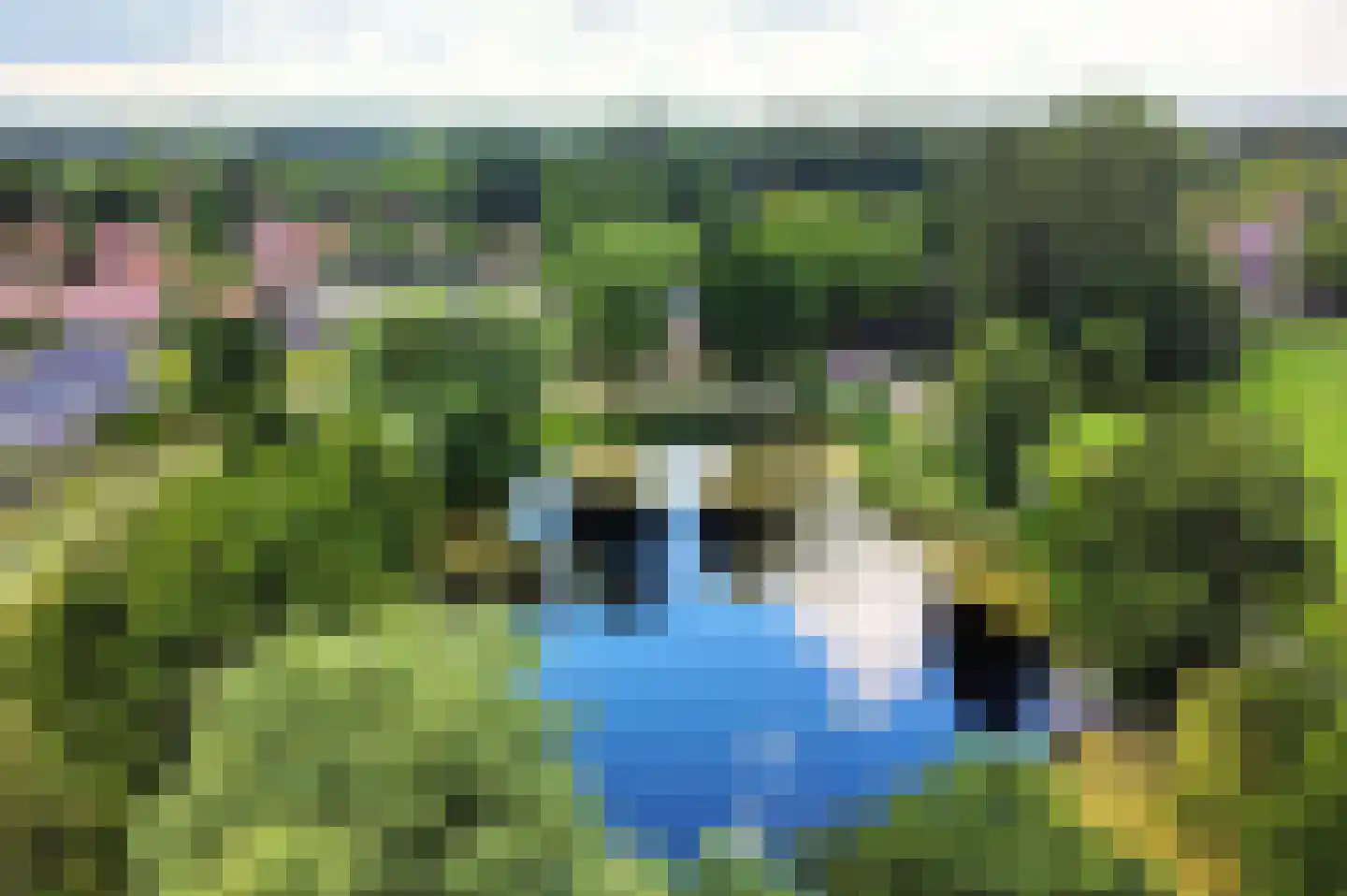 De Lent 1 Muiderberg thumbnail 33