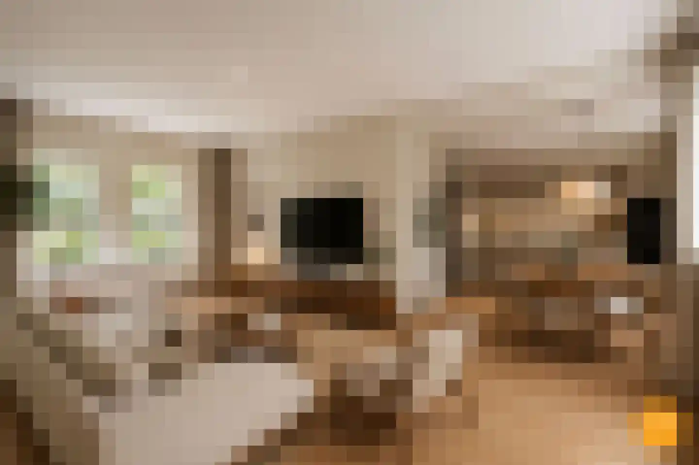 De Lent 1 Muiderberg thumbnail 4